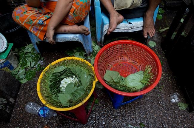 Myanmar's betel chewers swallowing hard at high prices | iNFOnews.ca