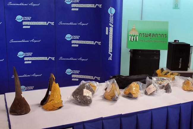 Thailand seizes rhino horns, arrests suspected smugglers | iNFOnews.ca CP1859751711