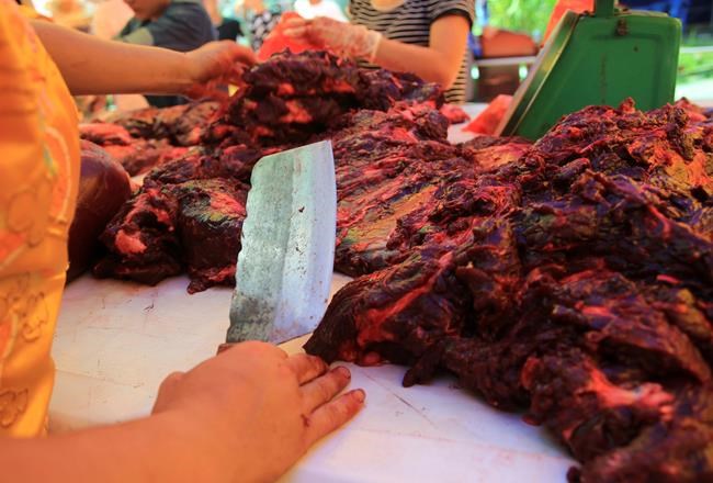 Vietnam resumes water buffalo fighting decried as violent | iNFOnews.ca Vietnam resumes water buffalo fighting decried as violent | iNFOnews.ca