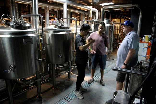 Panda Beer anyone? Craft beers flow in middle-class China | iNFOnews.ca Panda Beer anyone? Craft beers flow in middle-class China | iNFOnews.ca
