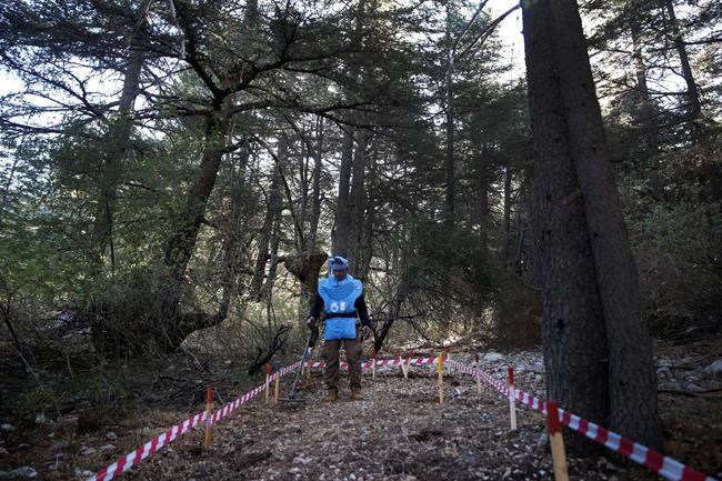 Lebanese clear civil war-era mines from famed cedar forests | iNFOnews.ca CP1672051851