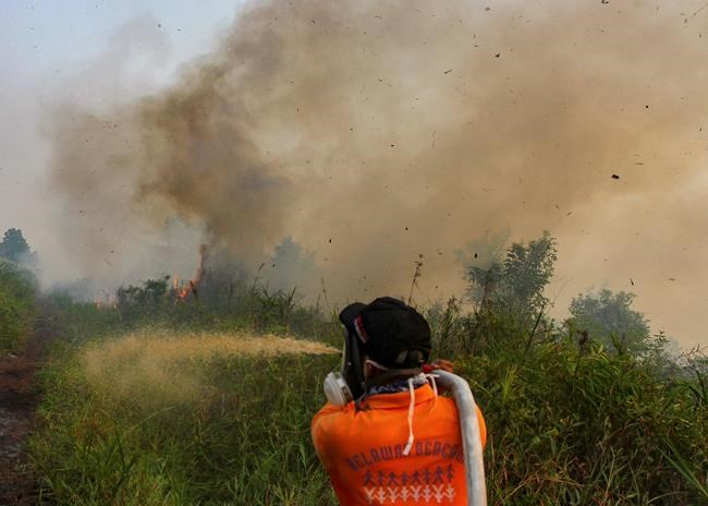 Indonesian province shuts schools due to forest fire haze | iNFOnews.ca CP428162275