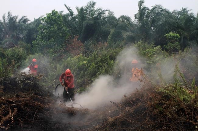 Indonesia seals off 30 companies over forest fires | iNFOnews.ca Indonesia seals off 30 companies over forest fires | iNFOnews.ca