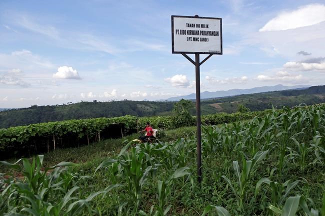 Fears for Indonesian park's rare species as Trump town rises | iNFOnews.ca
