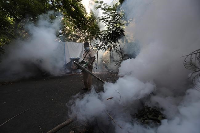 Dengue prevention efforts stifled by coronavirus pandemic | iNFOnews.ca Dengue prevention efforts stifled by coronavirus pandemic | iNFOnews.ca