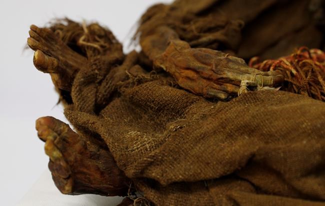 500-year-old mummy of Incan girl returns to Bolivia | iNFOnews.ca CP323304321