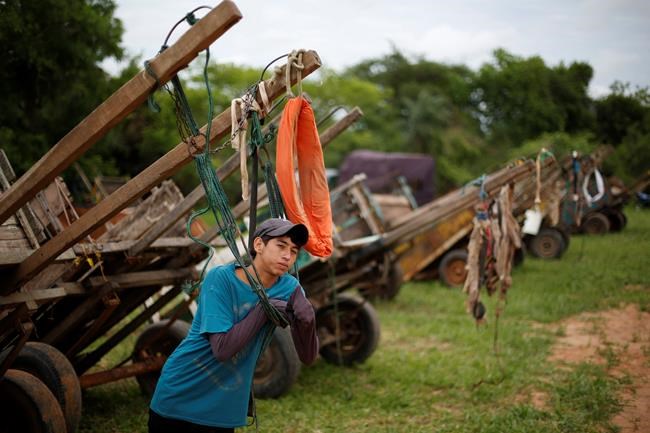 In Paraguay, 100 horses are protected, traded for moto-carts | iNFOnews.ca