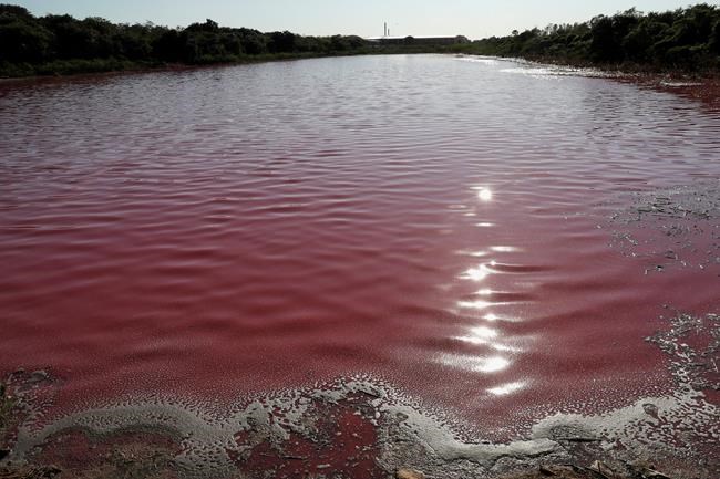 Pollution turns one side of divided Paraguayan lagoon purple | iNFOnews.ca Pollution turns one side of divided Paraguayan lagoon purple | iNFOnews.ca