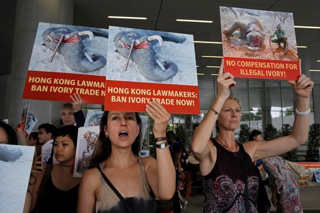 African rangers urge Hong Kong lawmakers to OK ivory ban | iNFOnews.ca CP1858588721