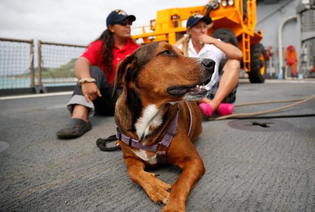 The Latest: Lost sailors say not enough danger to use beacon | iNFOnews.ca The Latest: Lost sailors say not enough danger to use beacon | iNFOnews.ca