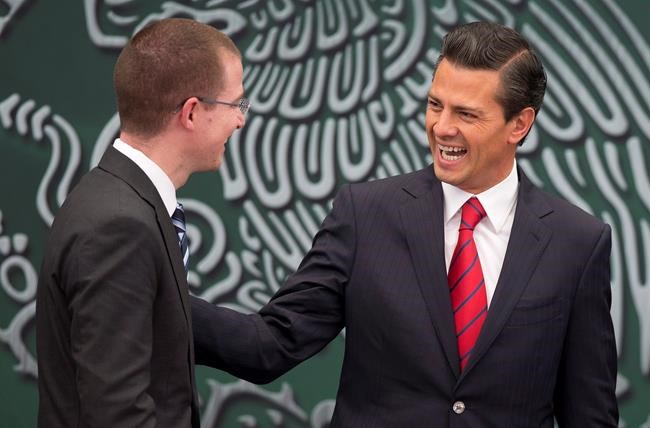 Mexican writers, intellectuals demand end to political probe | iNFOnews.ca