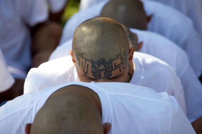 El Salvador begins mass trial of alleged MS-13 gang members | iNFOnews.ca