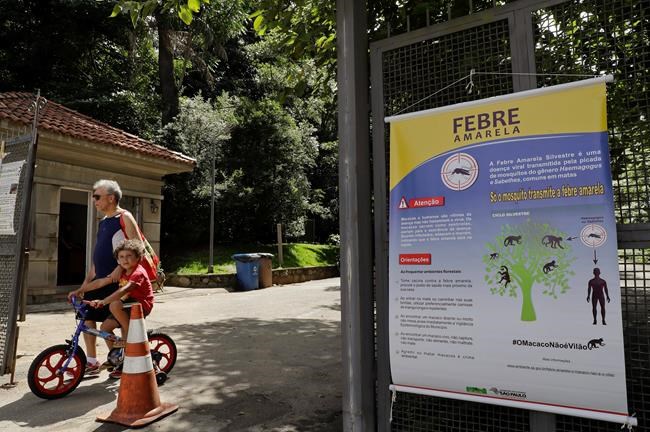 Sao Paulo shuts parks as yellow fever outbreak kills 70 | iNFOnews.ca