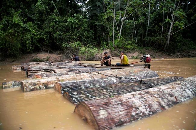 Top US trade official takes aim at Peru in logging dispute | iNFOnews.ca Top US trade official takes aim at Peru in logging dispute | iNFOnews.ca
