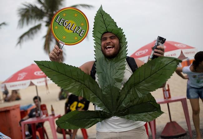 Brazil regulator greenlights medicinal cannabis products | iNFOnews.ca