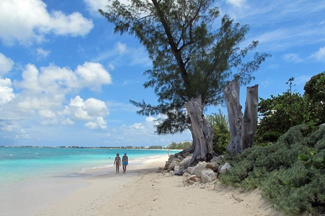 2 new marine sanctuaries for sharks created in Caribbean | iNFOnews.ca