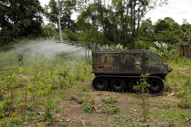 Colombia proposes to resume aerial spraying of coca fields | iNFOnews.ca Colombia proposes to resume aerial spraying of coca fields | iNFOnews.ca