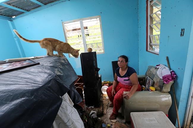 Stories from the aftermath of Hurricane Maria in Puerto Rico | iNFOnews.ca