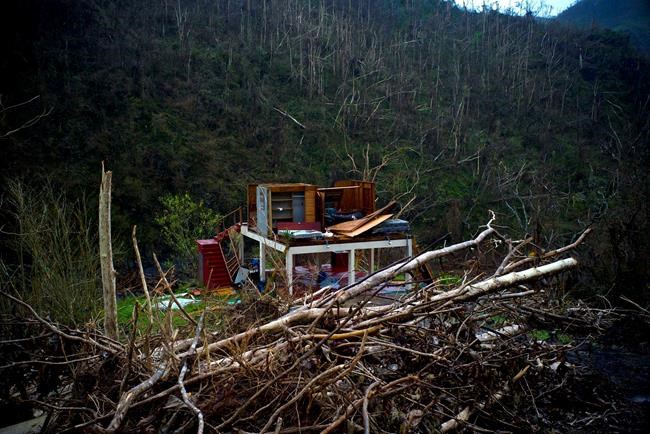 University experts to lead Puerto Rico storm death review | iNFOnews.ca CP1614675650