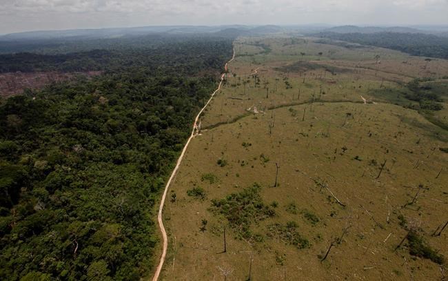AP Explains: Brazil's environmental changes under Bolsonaro | iNFOnews.ca