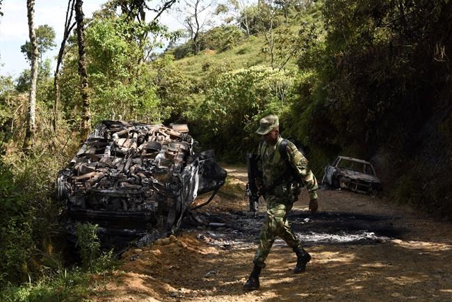 Colombia offers path to civilian life for dissident rebels | iNFOnews.ca