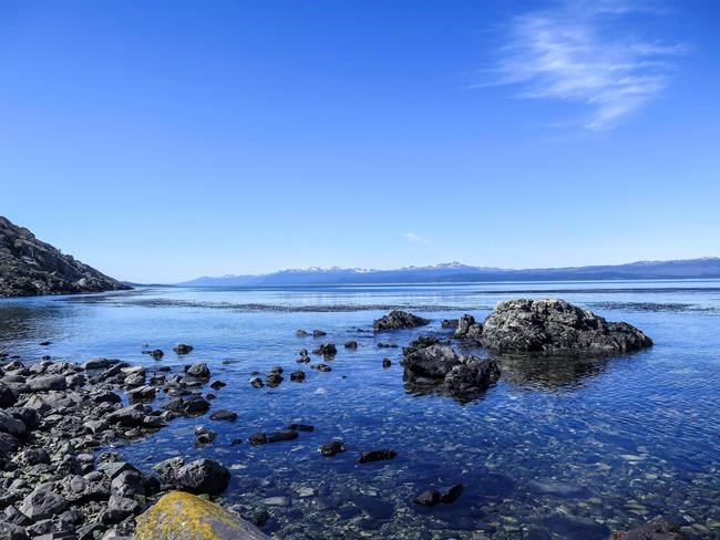 Kristine Tompkins celebrates new Argentina marine parks | iNFOnews.ca