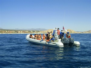 CP32257380