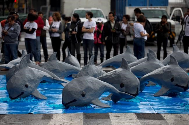 Sea Shepherd ship attacked in Mexico's Gulf of California | iNFOnews.ca