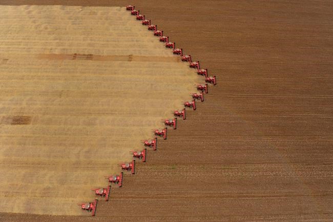 Human Rights Watch urges Brazil to regulate pesticides more | iNFOnews.ca