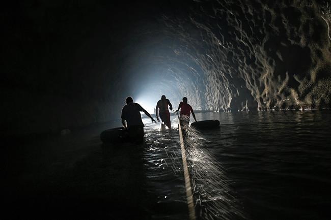 CP2137005911