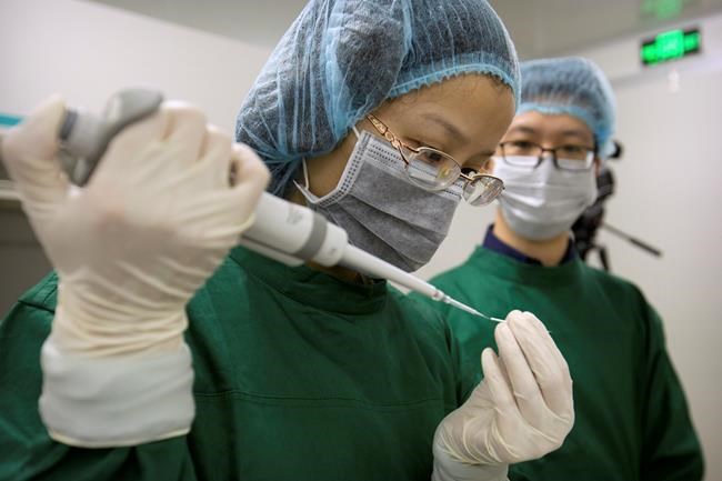 Q&A on scientist's bombshell claim of gene-edited babies | iNFOnews.ca Q&A on scientist's bombshell claim of gene-edited babies | iNFOnews.ca