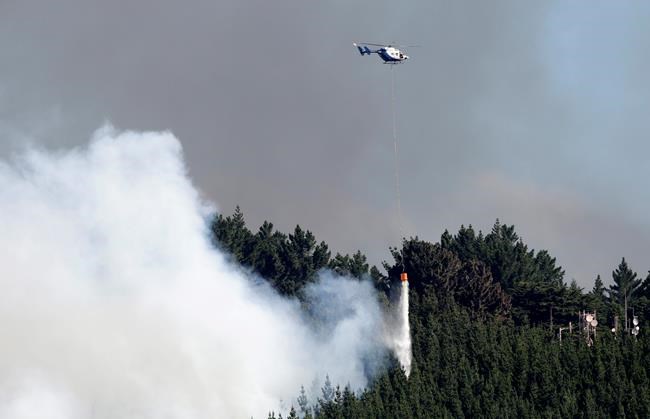 New Zealand crews halt advance of wildfire on city homes | iNFOnews.ca