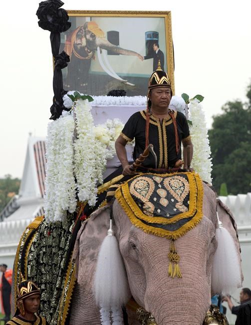 White elephants, mahouts pay respects to late Thai king | iNFOnews.ca White elephants, mahouts pay respects to late Thai king | iNFOnews.ca