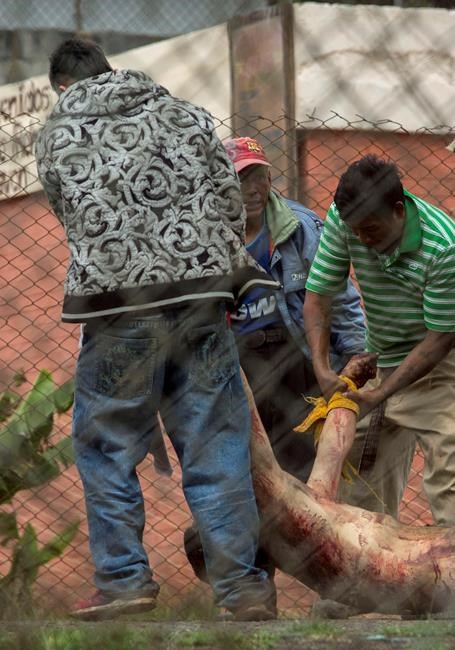 7 dead, 10 wounded in Guatemala prison riot shooting | iNFOnews.ca 7 dead, 10 wounded in Guatemala prison riot shooting | iNFOnews.ca