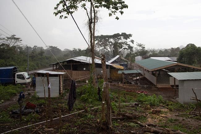 Refugee life: Nicaraguan graphic designer becomes pig farmer | iNFOnews.ca Refugee life: Nicaraguan graphic designer becomes pig farmer | iNFOnews.ca