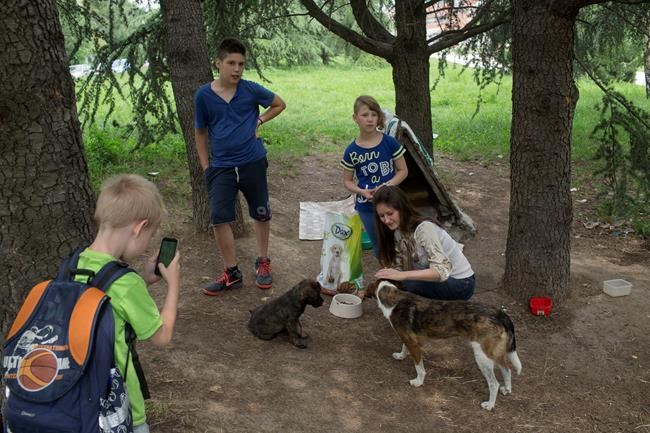 Call to Help! Belgrade activist sets up animal charity | iNFOnews.ca