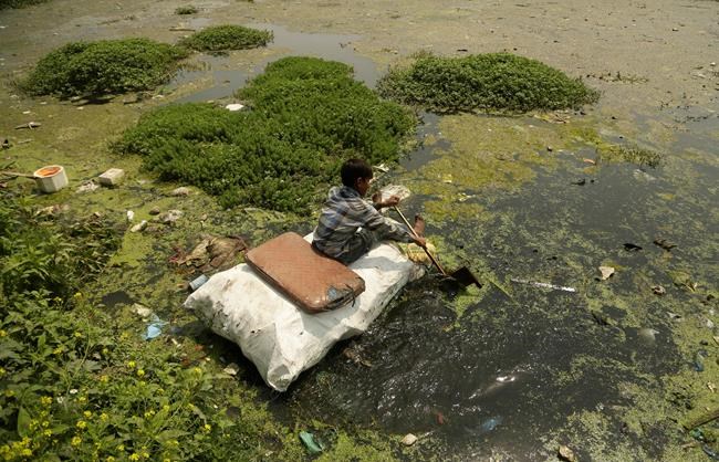 UN: Plastic bans can work, but need planning and enforcement | iNFOnews.ca