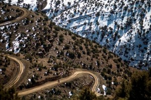 CP1702079773