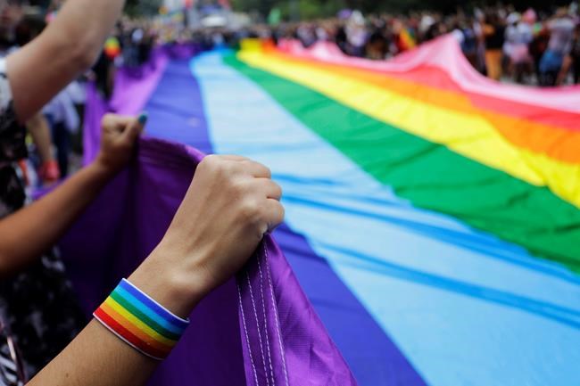 Huge parade celebrates gay pride in Brazil | iNFOnews.ca