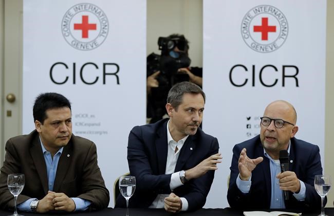 Falklands: Red Cross to begin ID of Argentine troop remains | iNFOnews.ca