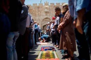 CP1685622115