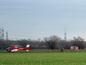 CP1614003177