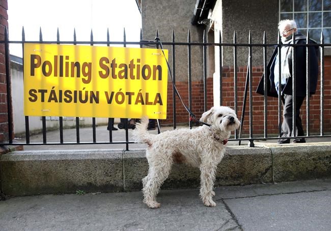 Top 3 parties in dead heat after Irish parliament elections | iNFOnews.ca
