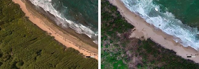 Scientists race to document Puerto Rico’s coastal heritage | iNFOnews.ca