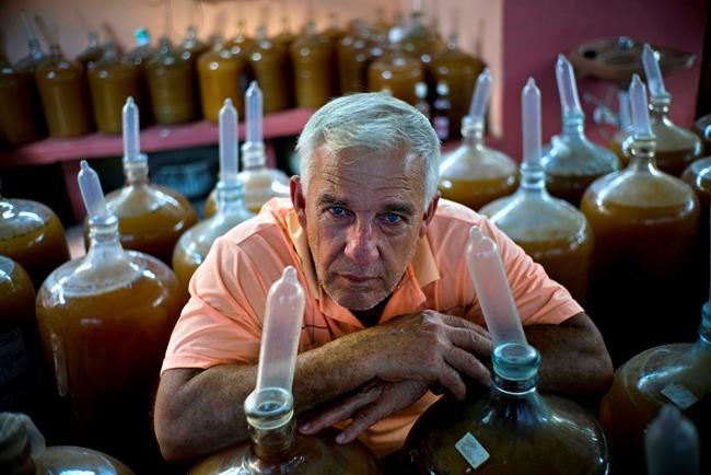Cuban uses condoms, tropical fruit to make own brand of wine | iNFOnews.ca