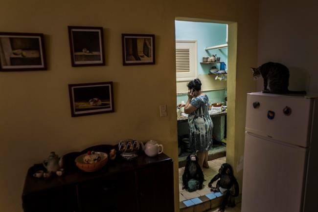 Cuban biologist raises 2 chimpanzees in her Havana apartment | iNFOnews.ca