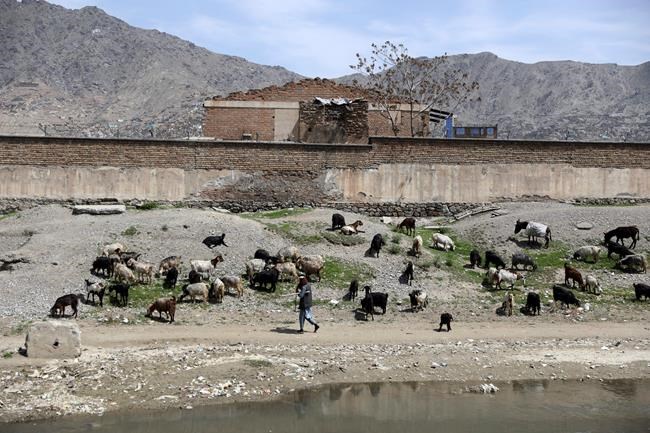 Analysis: Biden takes a risk pulling troops from Afghanistan | iNFOnews.ca Analysis: Biden takes a risk pulling troops from Afghanistan | iNFOnews.ca