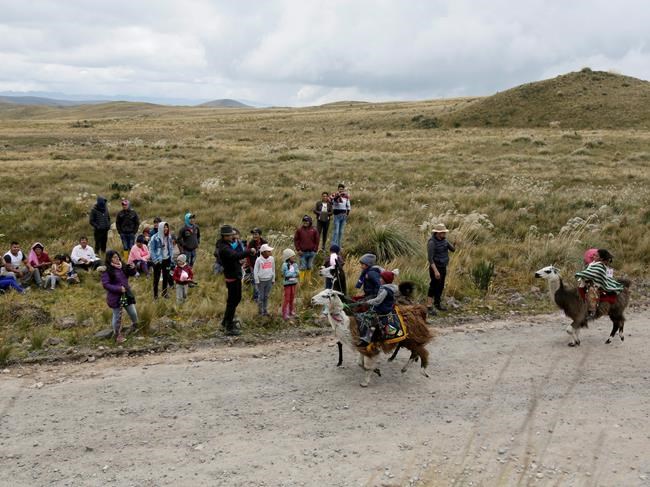 AP Photos: Kids race llamas in Ecuador's highlands | iNFOnews.ca