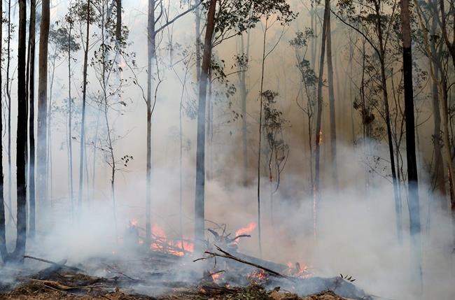 Australia turns from defence to offence in wildfire battle | iNFOnews.ca Australia turns from defence to offence in wildfire battle | iNFOnews.ca