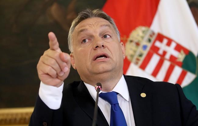 Amnesty International critical of Hungary's asylum system | iNFOnews.ca Amnesty International critical of Hungary's asylum system | iNFOnews.ca
